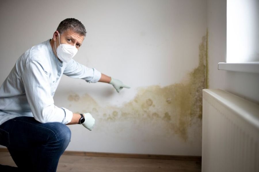 Mold Removal and Remediation Services Goleta CA
